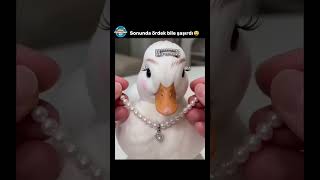 Çok Güzel Oldu😅  #akımvideoları  #komikyorum #komikyorumlar – Komik Yorumlarınız