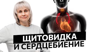 Щитовидка и сердцебиение. Доктор Лисенкова