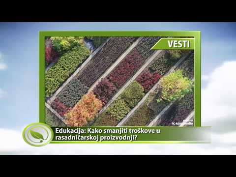 Video: Kako evidentirate troškove izgradnje?