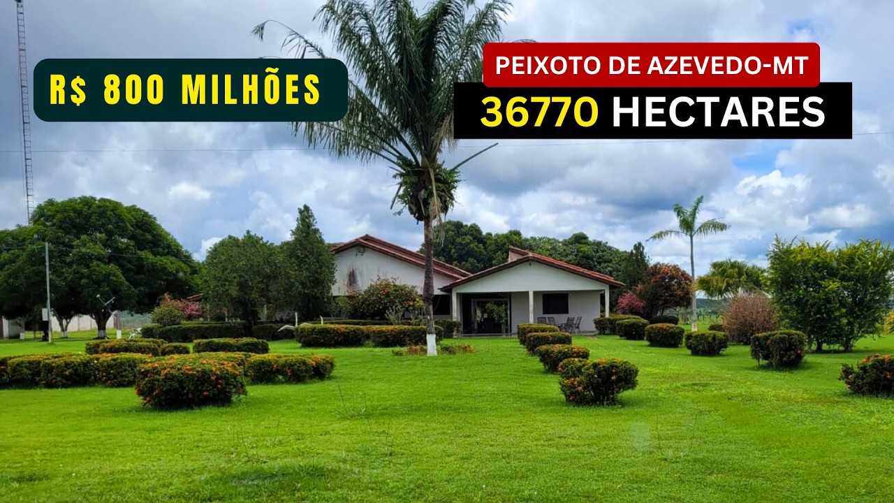 Fazenda Gigante com 36770 Hectares à Venda na Região de Peixoto Azevedo no Mato Grosso