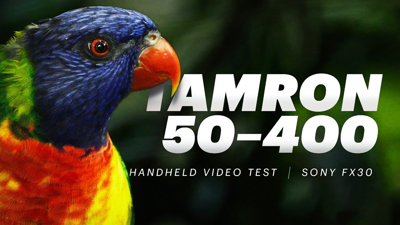 Tamron 50-400mm + Sony FX30 | Handheld video test