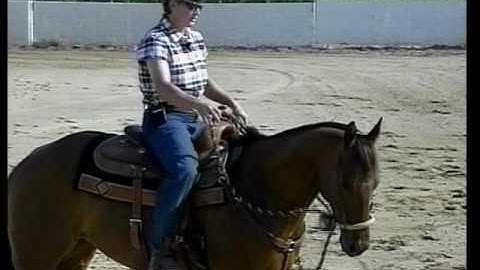 Riding in a Hackamore