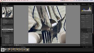 04 02 Lightroom CC 2018 How to use View Images GRID, LOUPE, COMPARISON SURVEY,