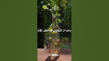 #تلاوة_عطرة من الذكر الحكيم  🎙️🎧           #سورة_الفلق 📖📚
