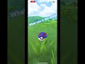 Which one is gonna be the shiny?!