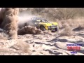 ROOST - Sportsman