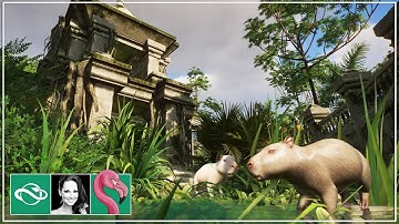 INSANE Capybara Baby Boom in Planet Zoo Tropical Franchise Mode