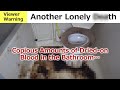 [Viewer Warning] Copious Amounts of Dried-on Blood in the Bathroom…Another Lonely De**h