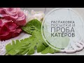 Распаковка посылок и проба катеров