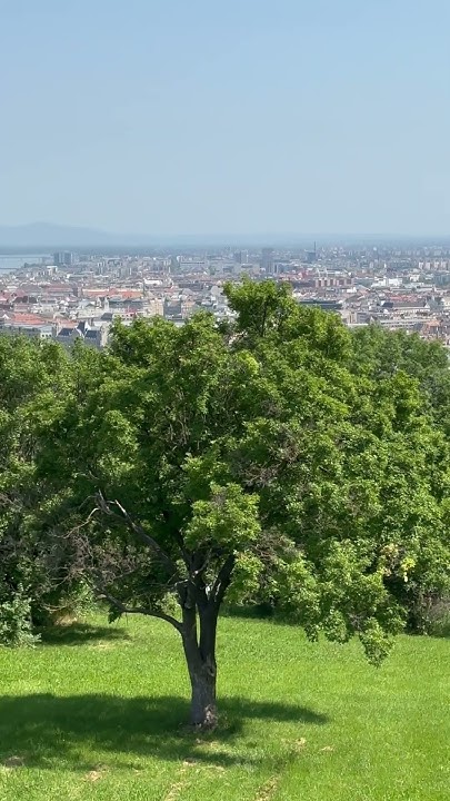 a-video-on-the-difference-between-buda-and-pest-in-hungary-budapest