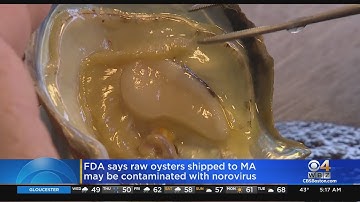 FDA: Raw Oysters Shipped To Massachusetts May Be Contaminated With Norovirus