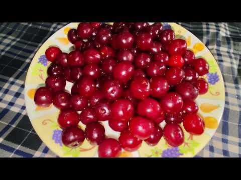 Kashmir famous CHERRY🍒 CHUTNEY.