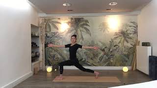 Vinyasa flow // Torsions