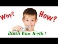 Why   how to brush your teeth 