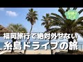 【福岡のリゾート 糸島をめぐる旅】福岡のハワイといわれる大人気の糸島を日帰りで巡る旅