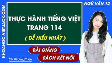 Thực hành tiếng Việt trang 114 | Ngữ văn 12 - Kết nối tri thức (DỄ HIỂU NHẤT)