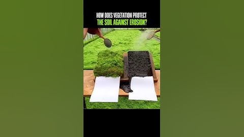 How Vegetation Protects the Soil Against Erosion