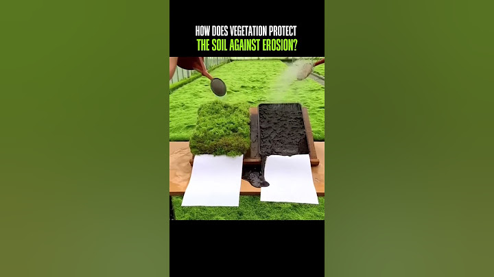 How Vegetation Protects the Soil Against Erosion