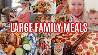 LARGE FAMILY MEALS OF THE WEEK! BIG FAMILY CROCKPOT DINNERS, Cabbage Roll Casseroles, mega & lots!