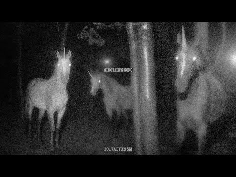 1017 ALYX 9SM Montell Fish Minotaur S Song Lyrics In Description