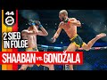 Shaaban vs gondala  free fight  oktagon 44 oberhausen 