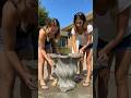 Amazing DIY Yellow Daisy Cement Planter with Two Creative Women 💛#new#tree#trending#viral#home#viral