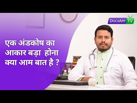 वीडियो: कौन सा अंडकोष आमतौर पर नीचे लटकता है?