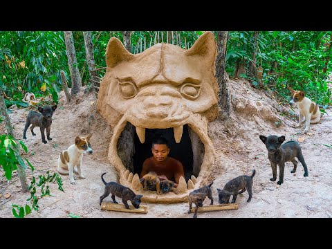 Newborn Puppies Rescued And Build Heaven Underground Dog House And Red Fish Pond