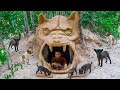 Newborn puppies rescued and build heaven underground dog house and red fish pond