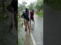 Heavy Rain Flood Fishing Part 2
