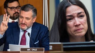 Woke Witness Calls Sen. Ted Cruz Racist Instantly Regrets It.