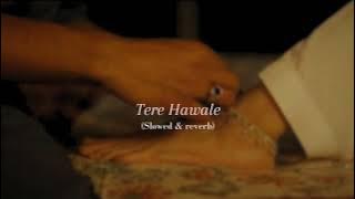 Tere Hawale - Arijit Singh | Shreya Ghoshal | Slowed & Reverb