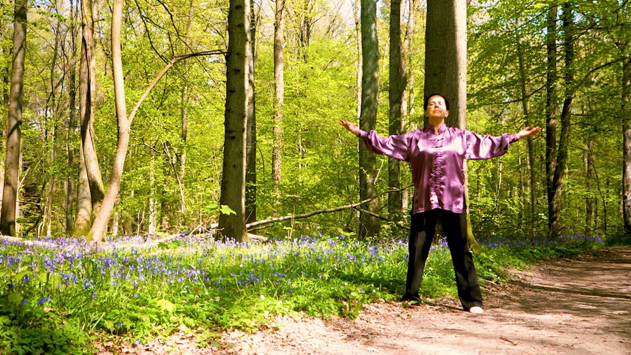 🙋☀️ROUTINE - QI GONG DU MATIN - Bois de Hal
