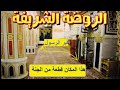 أسرع ٣ خطوات لدخول الروضة الشريفه عند رسول الله ﷺ شاهد خطوة بخطوة 