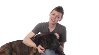 Adopt Smoosh at NKLA