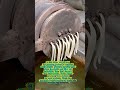 #process
