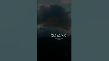 "الْمُنَافِقُونَ وَالْمُنَافِقَاتُ بَعْضُهُمْ مِنْ بَعْضٍ"#هيثم_الجدعان #تلاوات #quran #قرآن #تلاوات