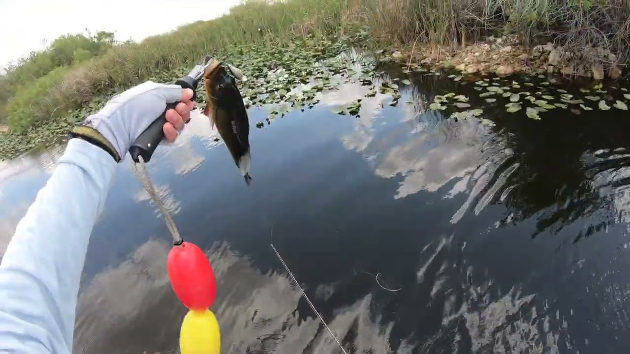 holiday park fishing May 15 2022