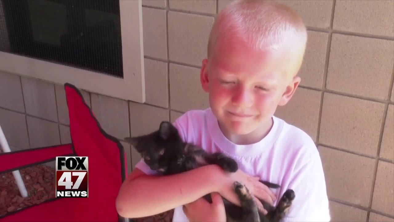questions-raised-over-animal-shelter-rules-youtube