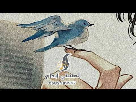 انشودة رفرف من حولي عصفور بدون ايقاع للطلب واتس ٠٥٨٢٣٤٩٩٩٧