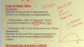 Skeletal system part 3 screenshot 2