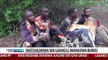 Azam TV - Wakamatwa kwa ujangili wakiwa na nyama swala - Kagera
