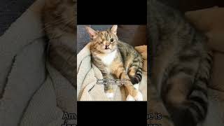 Am here kindly requesting for your help dear friend #petfood #superpet