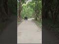 Jeep Safari#kaziranganationalpark#shortvideo