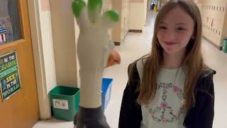 HBB Lip Dub 2024