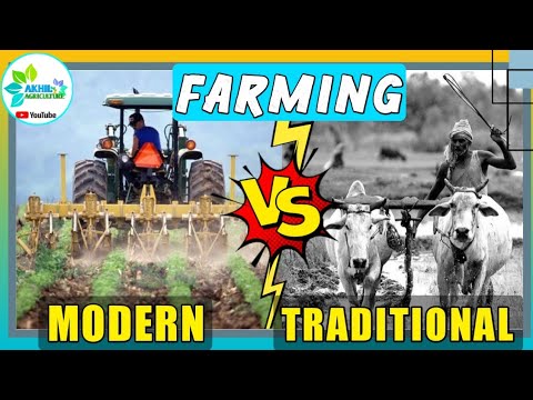 आधुनिक खेती और पारंपरिक खेती में अंतर | Modern Farming & Traditional Farming #Akhil_Agriculture