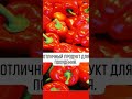 Веские причины употреблять болгарский перец🥰😍!