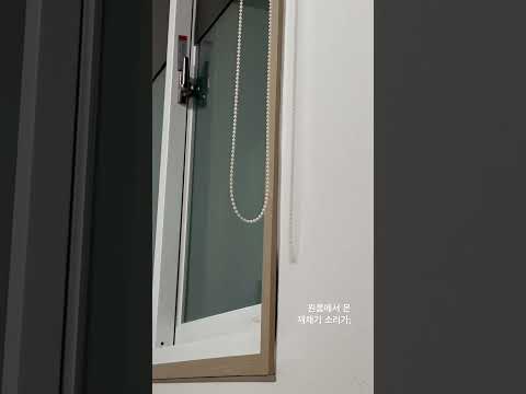 원룸에서 야 밤에 이상한 소리가