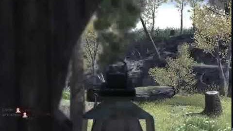 CrazySerbian Behind Enemy Lines COD4