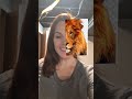 my animal twin